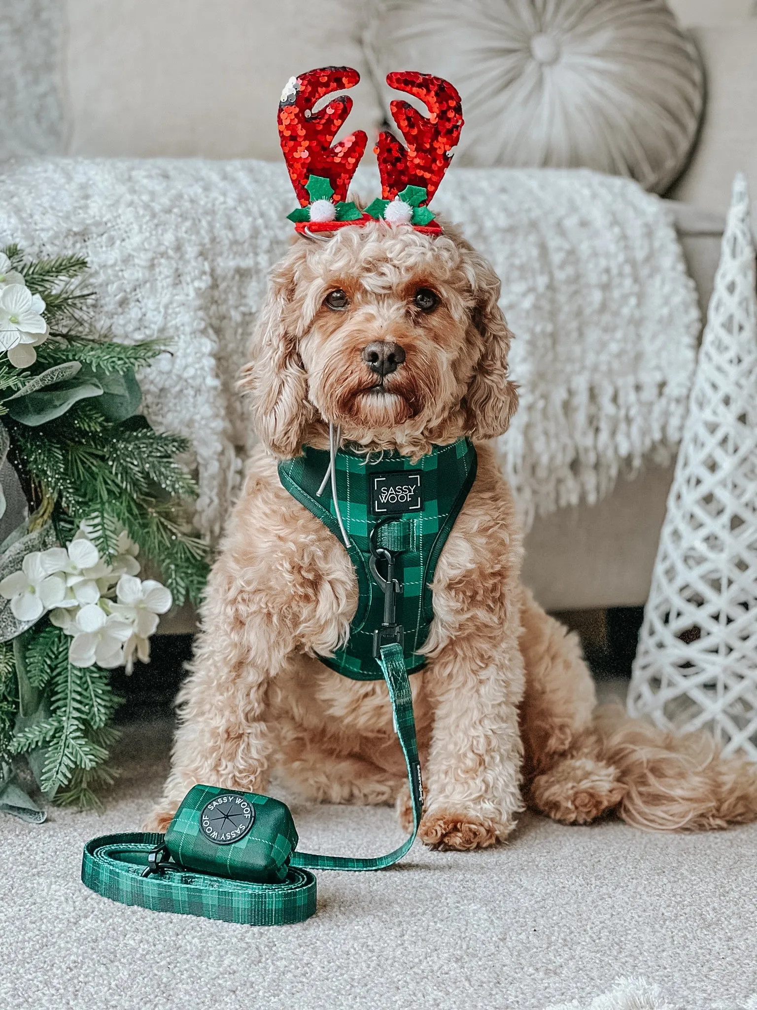 Dog Adjustable Harness - Barks of Holly