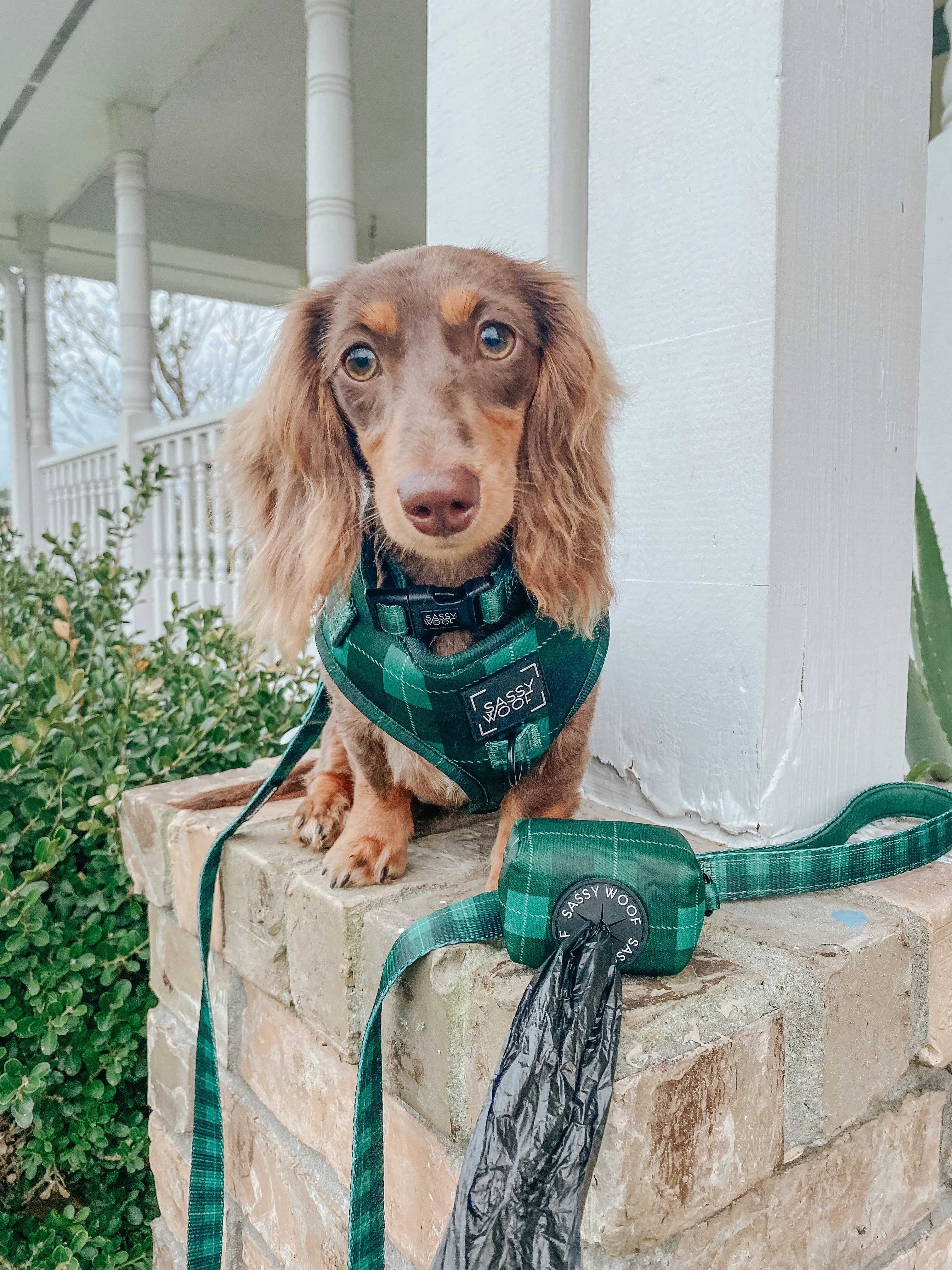 Dog Adjustable Harness - Barks of Holly