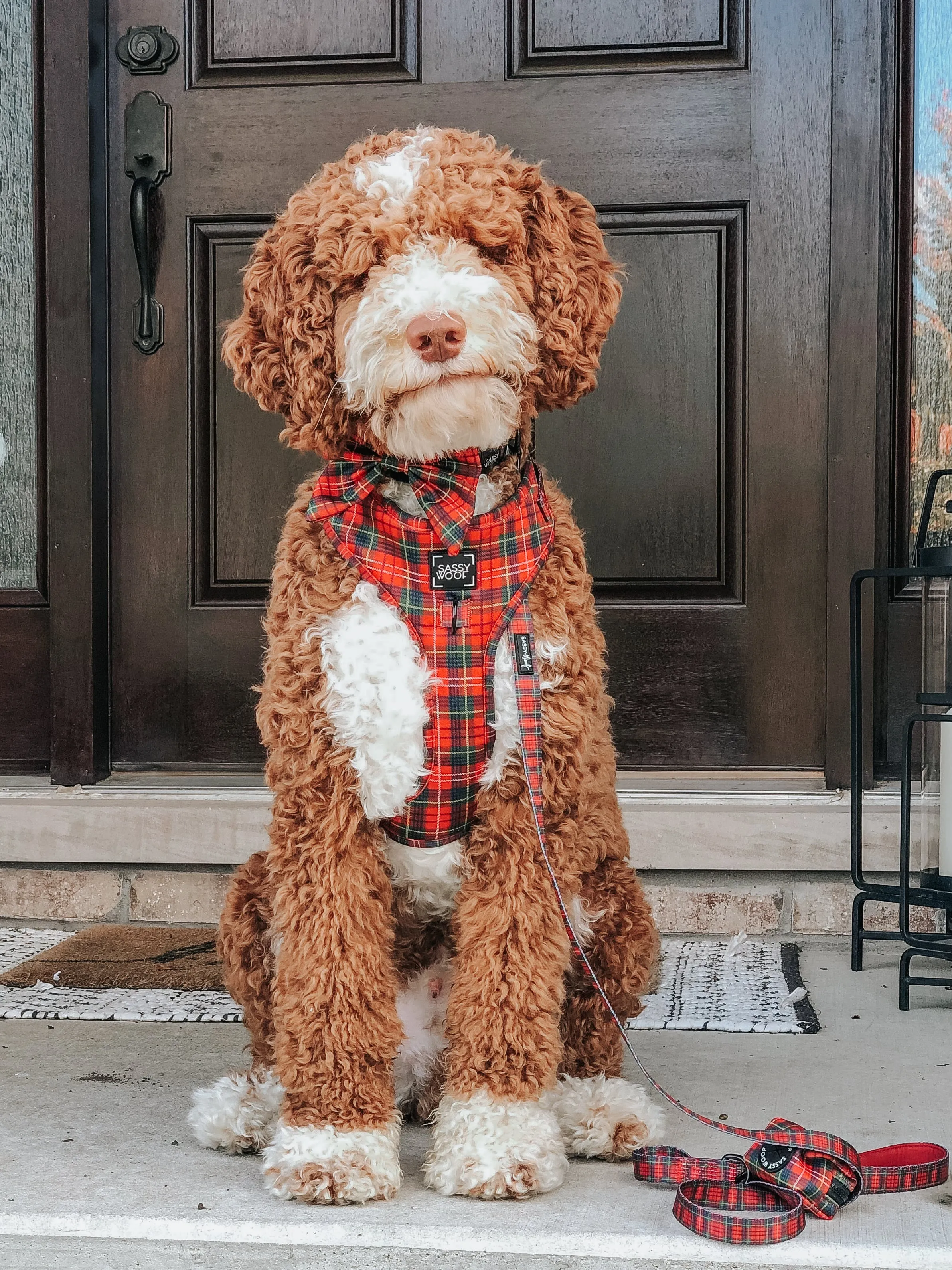 Dog Adjustable Harness - Deck the Paws