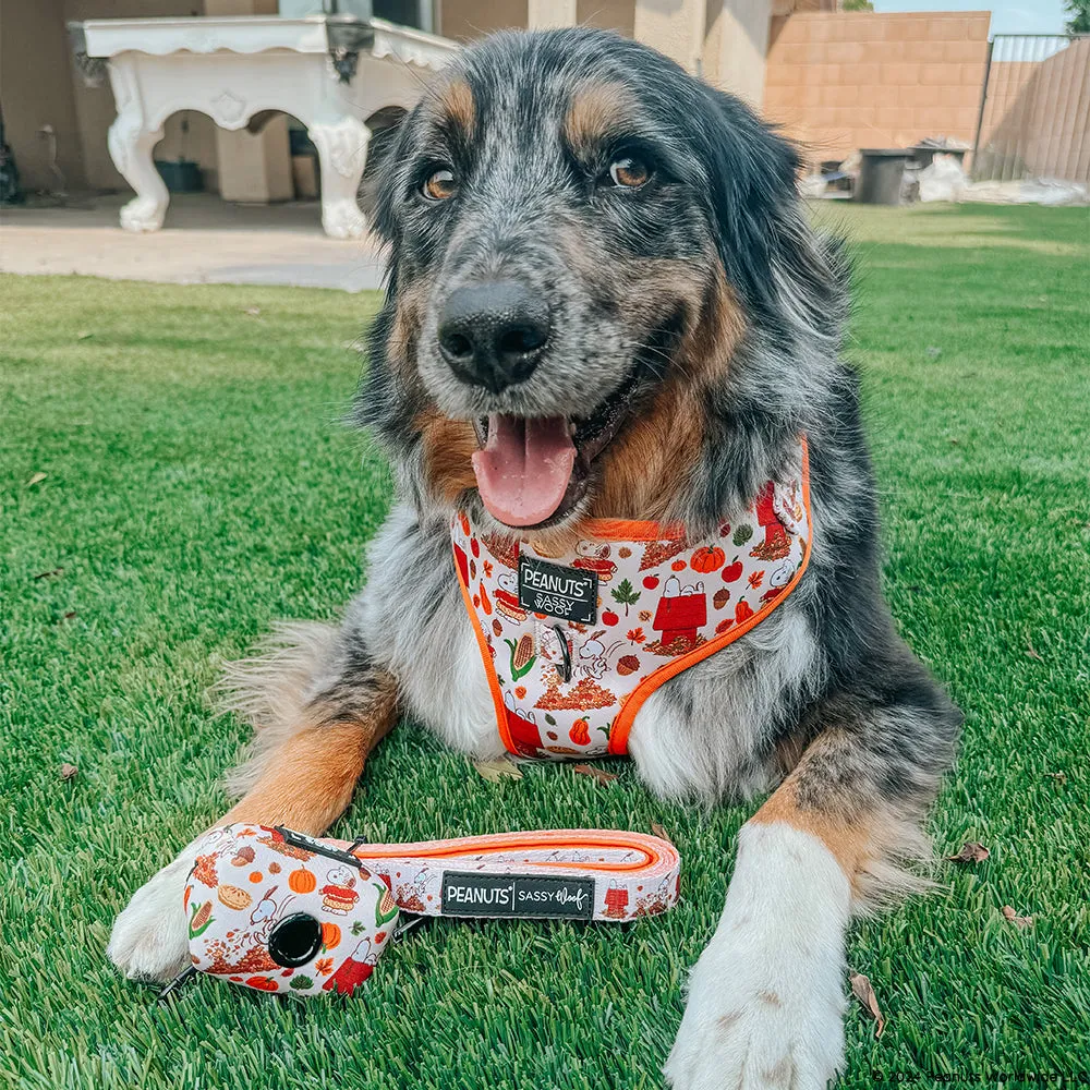 Dog Adjustable Harness - Peanuts™ Harvest