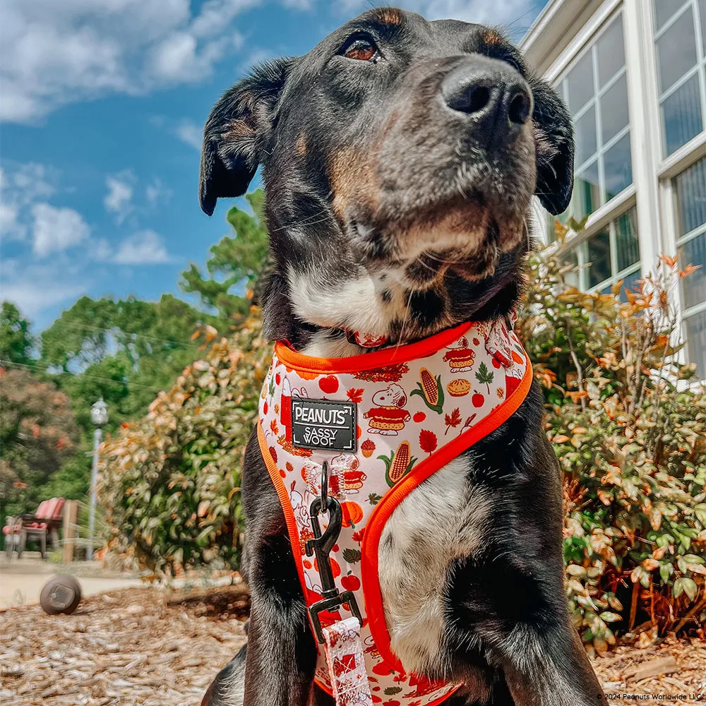 Dog Adjustable Harness - Peanuts™ Harvest