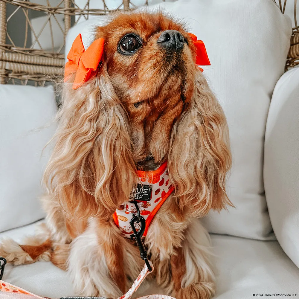 Dog Adjustable Harness - Peanuts™ Harvest