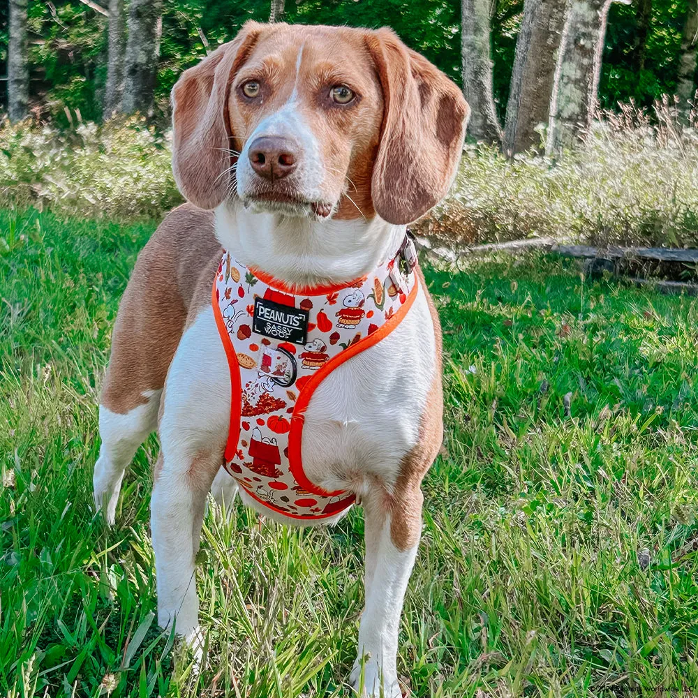 Dog Adjustable Harness - Peanuts™ Harvest