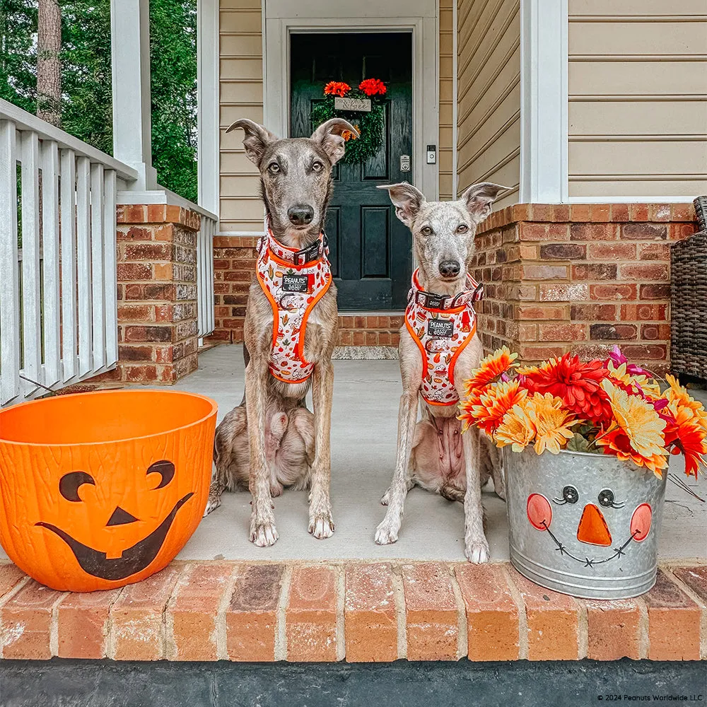 Dog Adjustable Harness - Peanuts™ Harvest