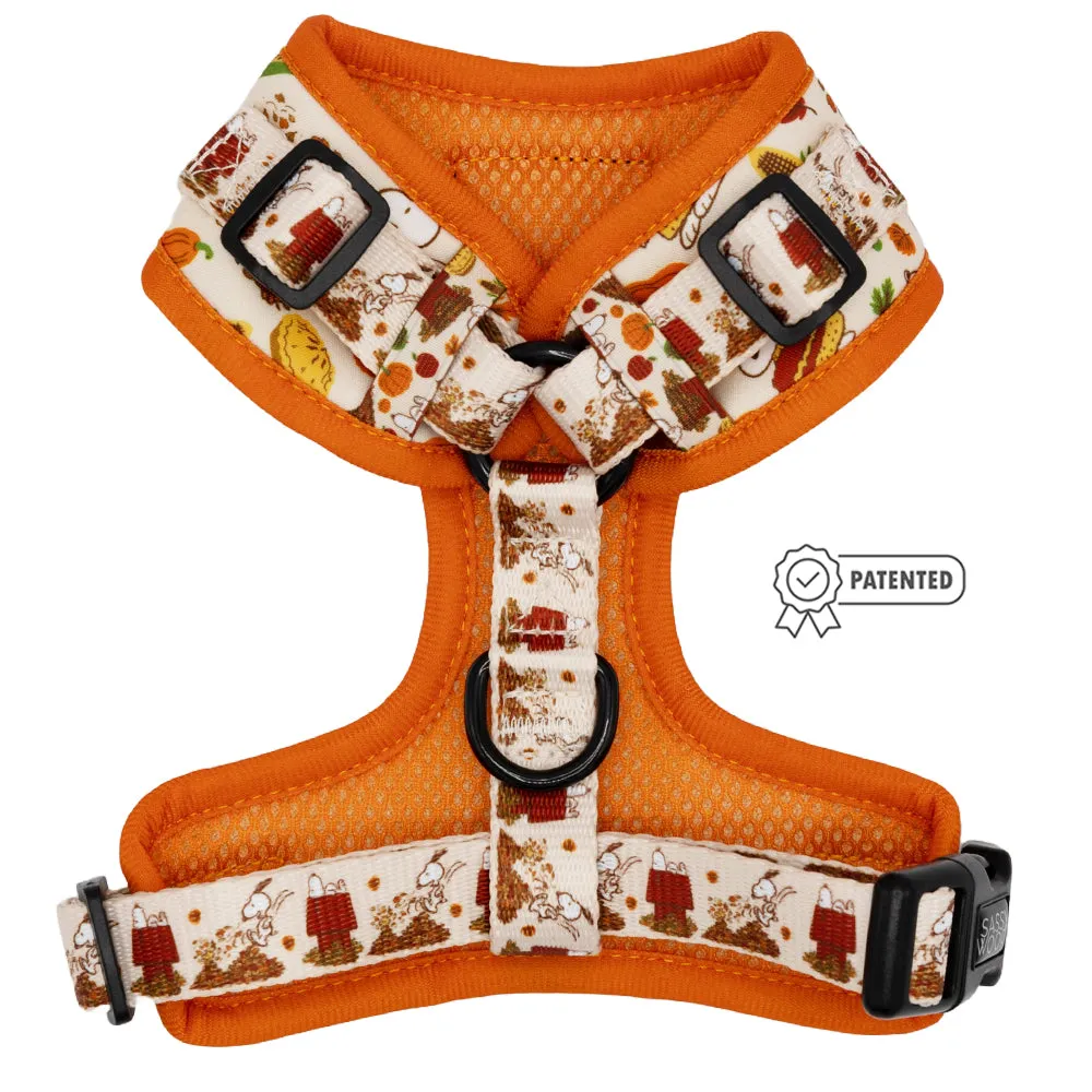 Dog Adjustable Harness - Peanuts™ Harvest