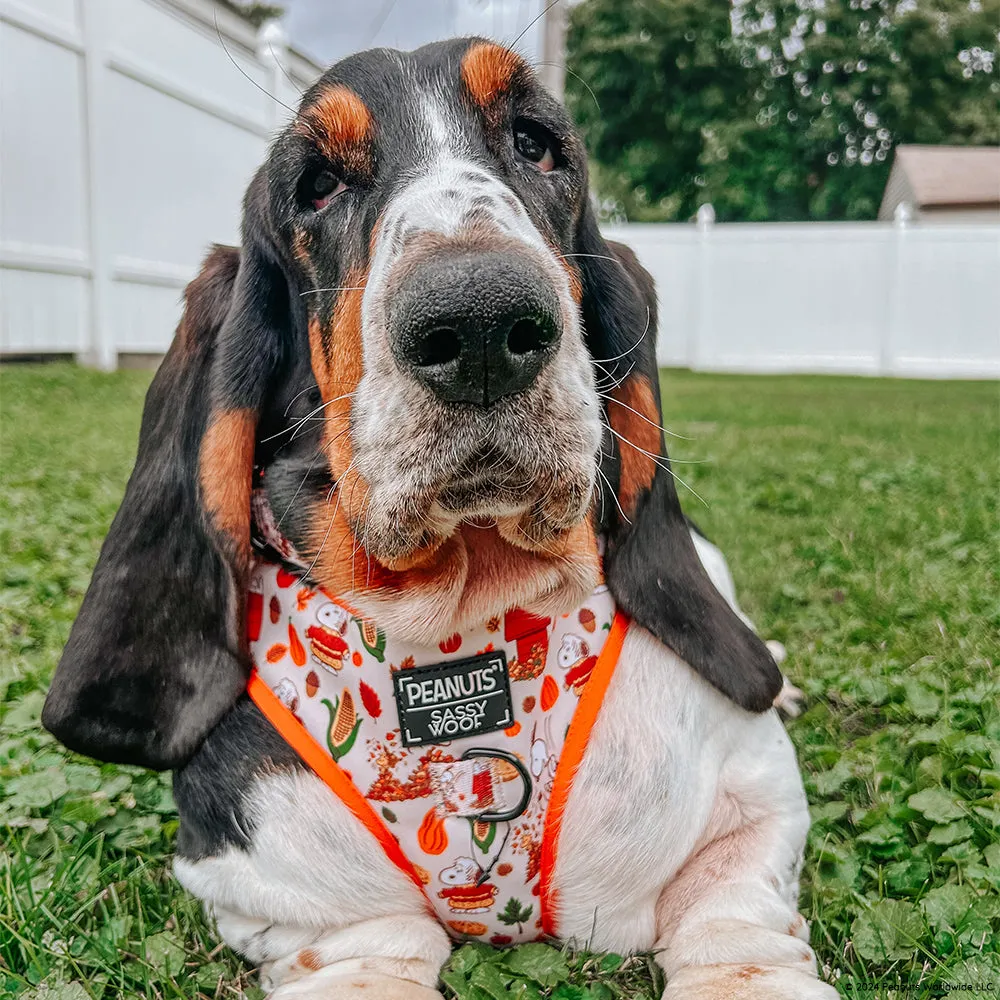 Dog Adjustable Harness - Peanuts™ Harvest