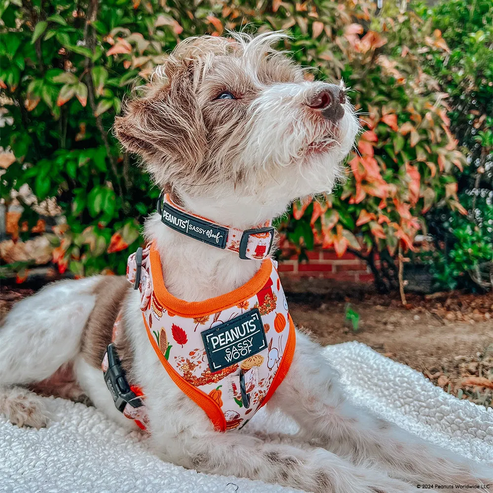 Dog Adjustable Harness - Peanuts™ Harvest