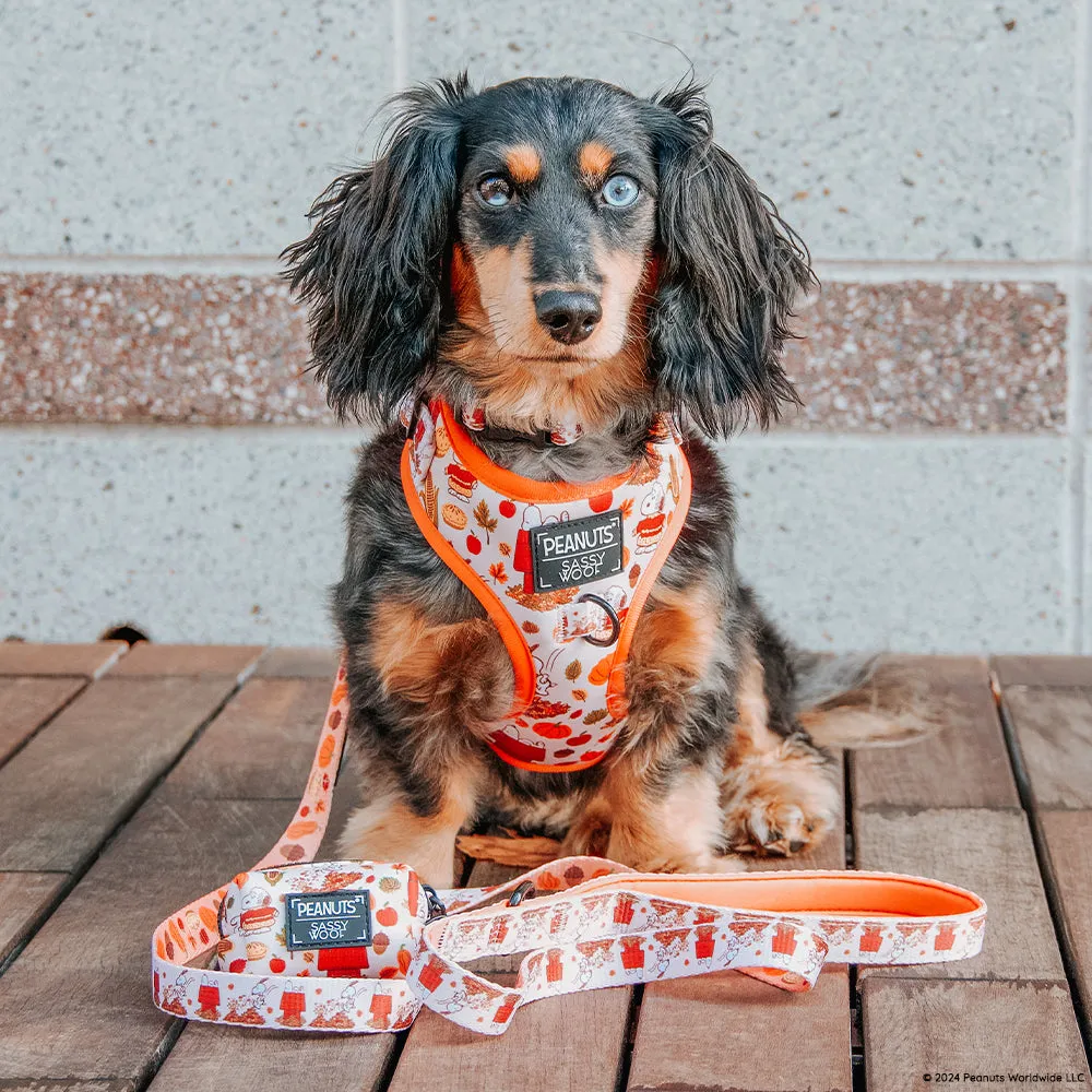 Dog Adjustable Harness - Peanuts™ Harvest