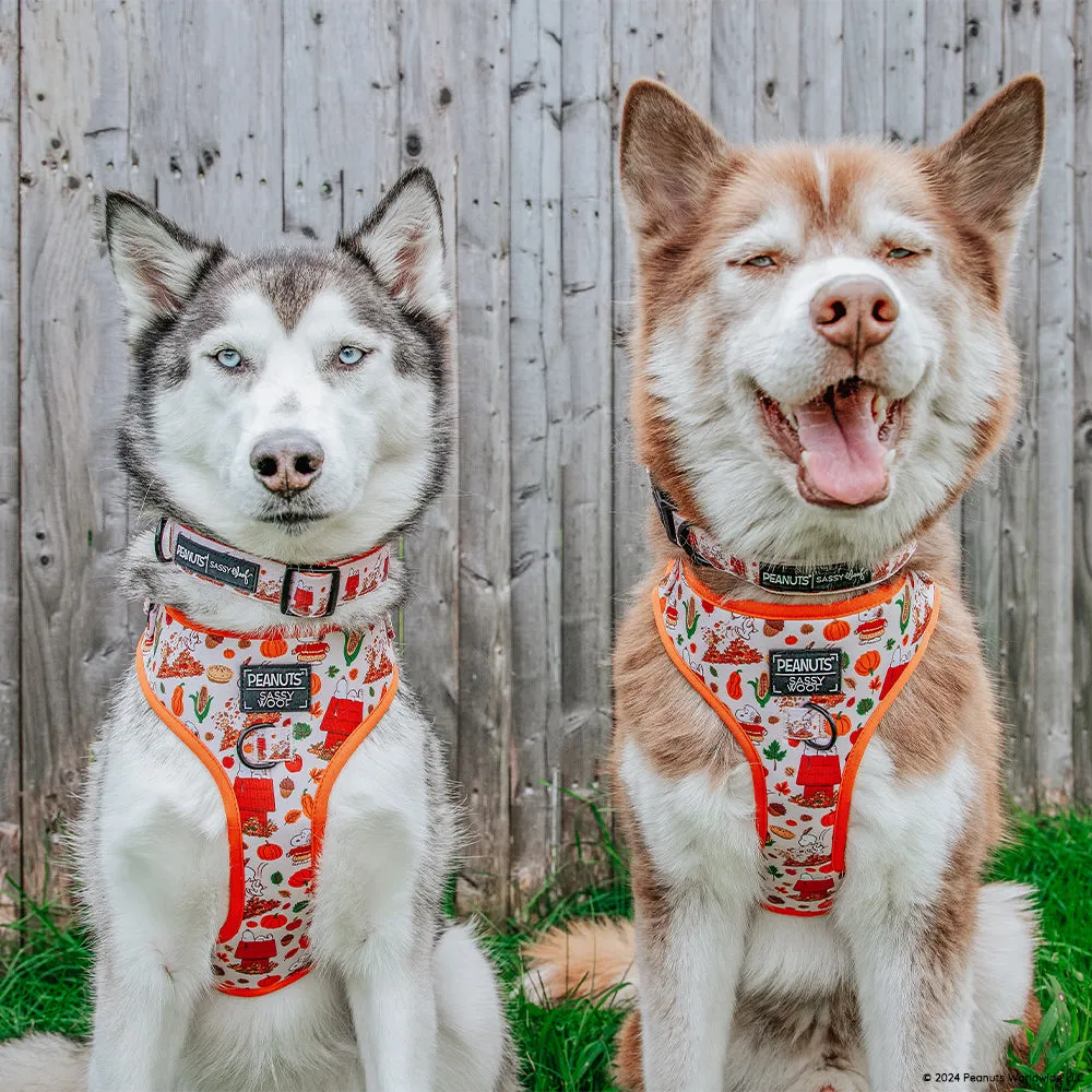 Dog Adjustable Harness - Peanuts™ Harvest