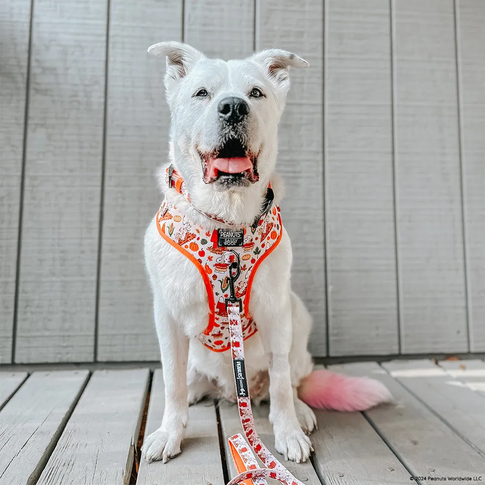 Dog Adjustable Harness - Peanuts™ Harvest