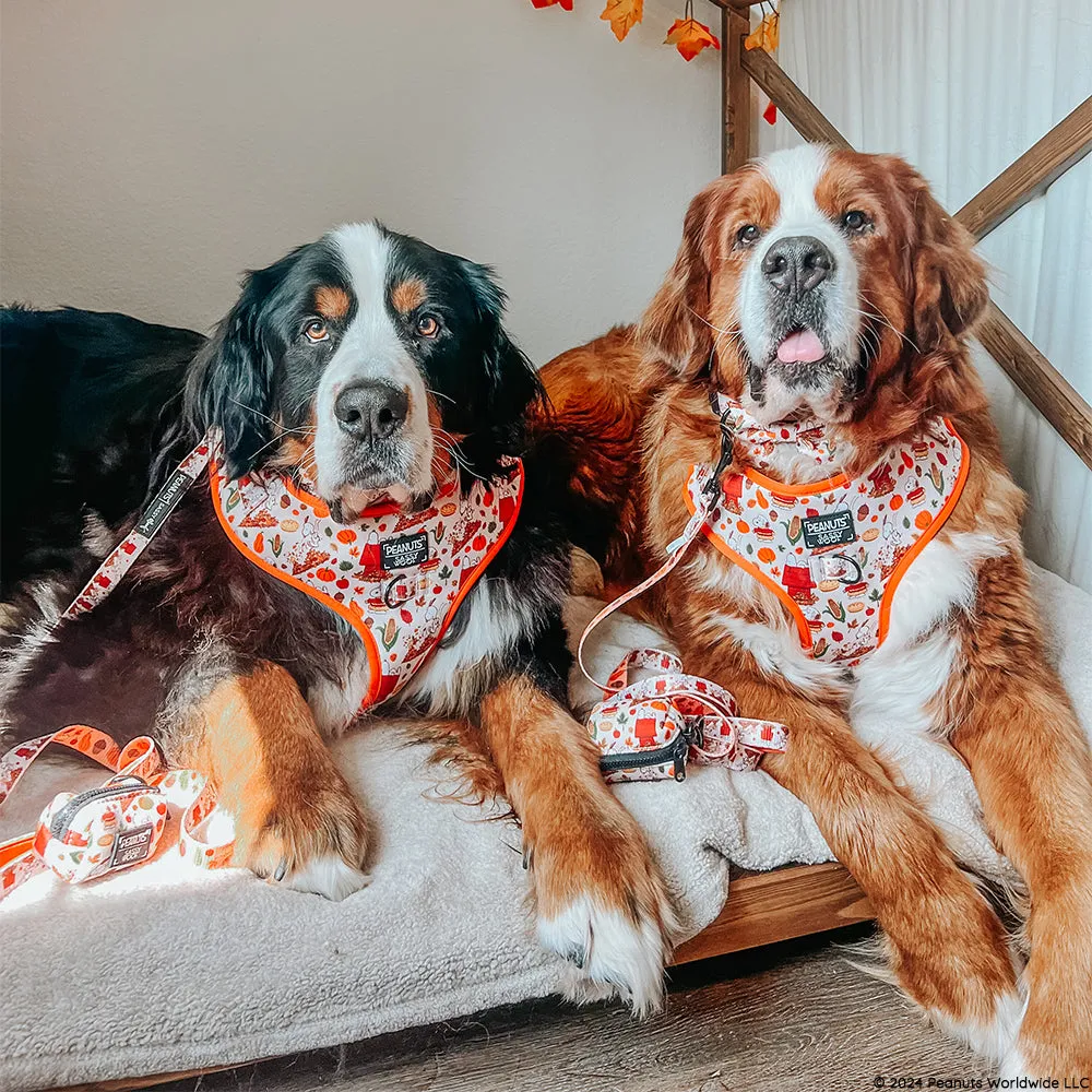 Dog Adjustable Harness - Peanuts™ Harvest