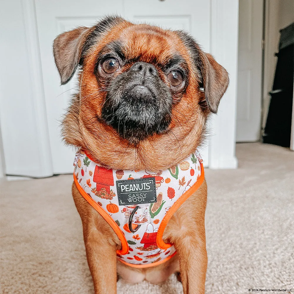 Dog Adjustable Harness - Peanuts™ Harvest