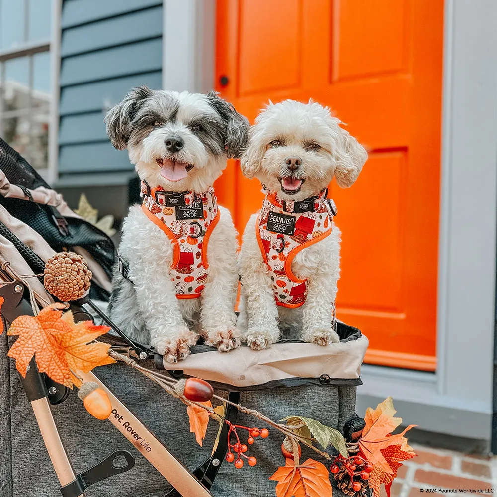 Dog Adjustable Harness - Peanuts™ Harvest