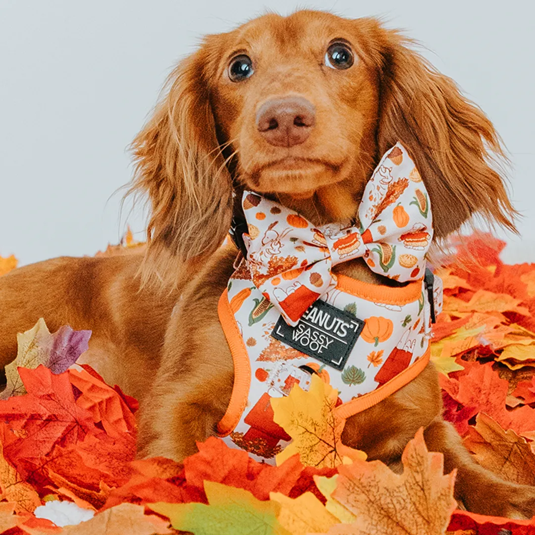 Dog Adjustable Harness - Peanuts™ Harvest