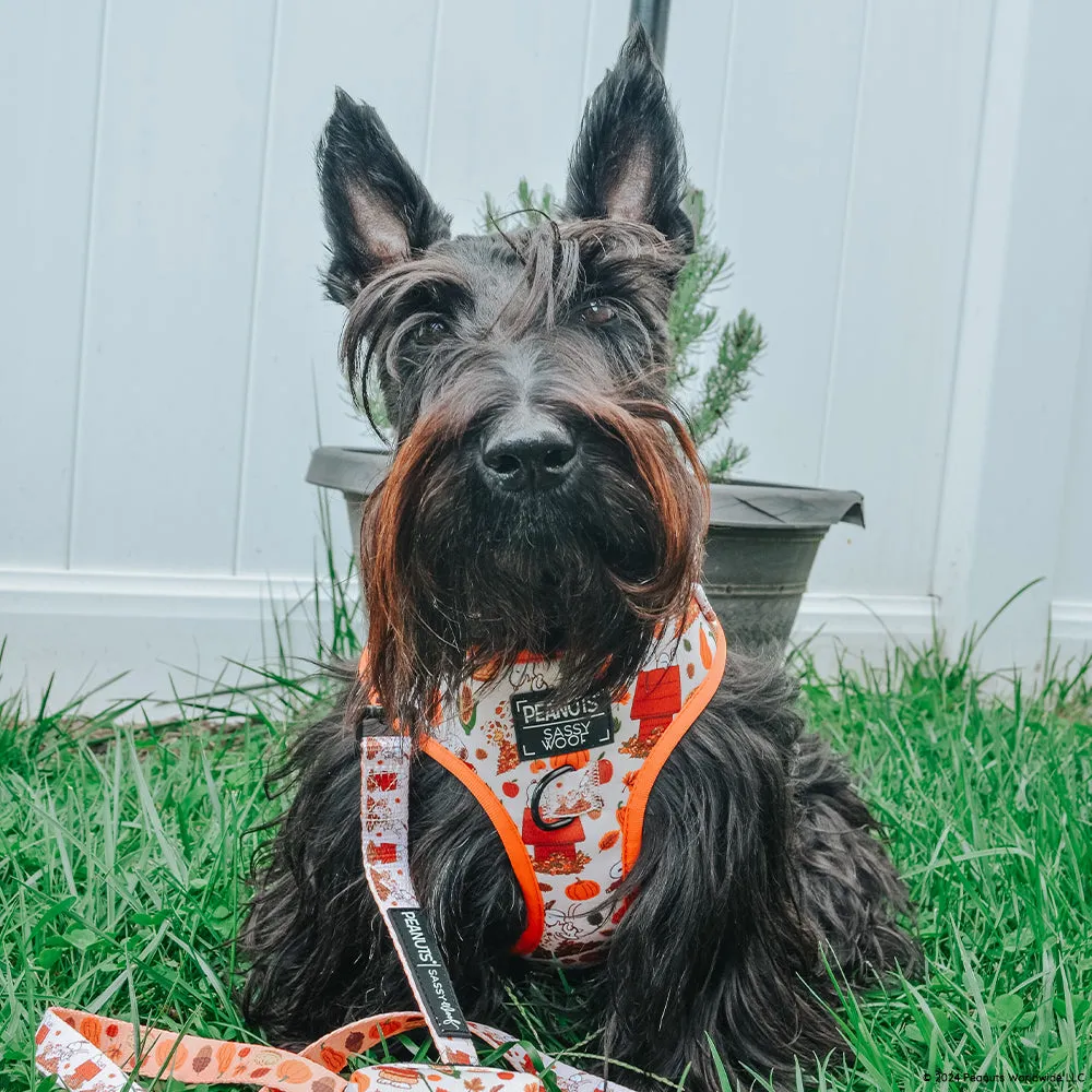 Dog Adjustable Harness - Peanuts™ Harvest