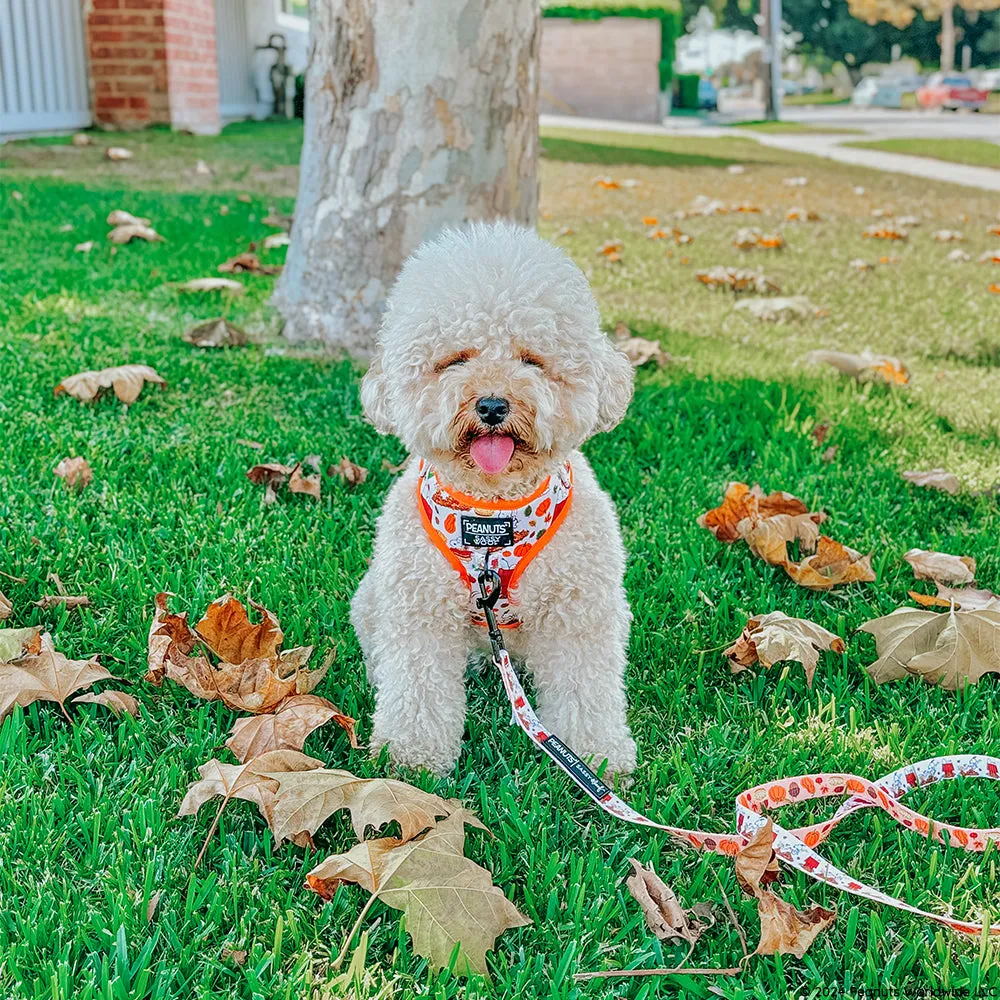 Dog Adjustable Harness - Peanuts™ Harvest