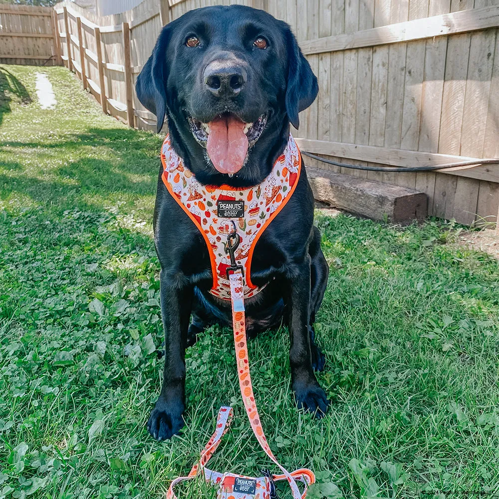 Dog Collar - Peanuts™ Harvest