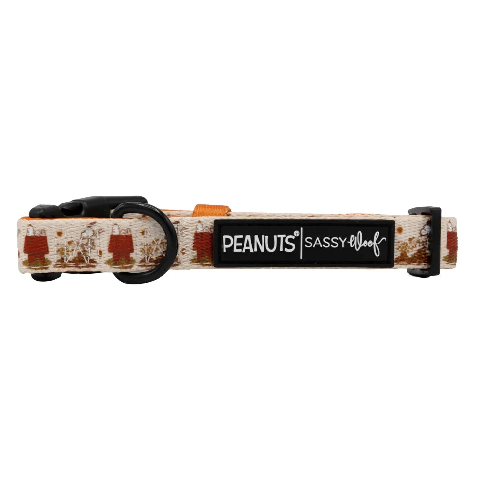 Dog Collar - Peanuts™ Harvest