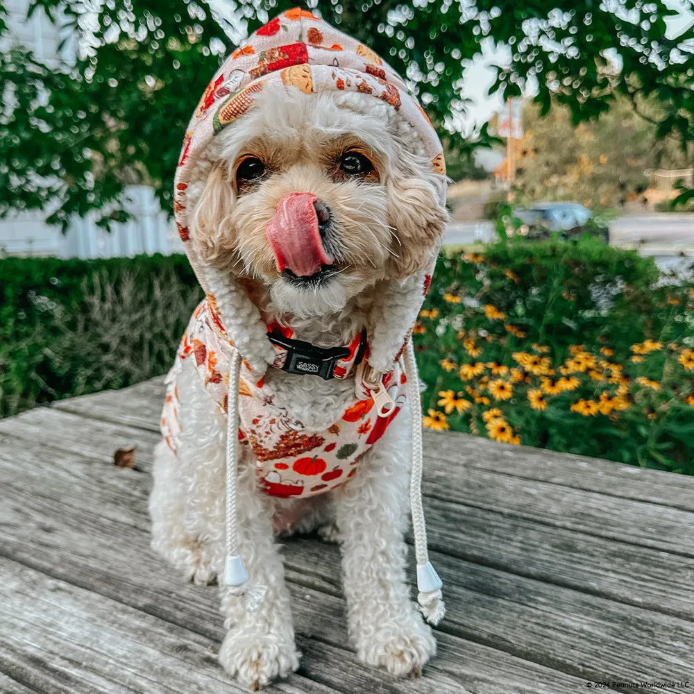 Dog Collar - Peanuts™ Harvest