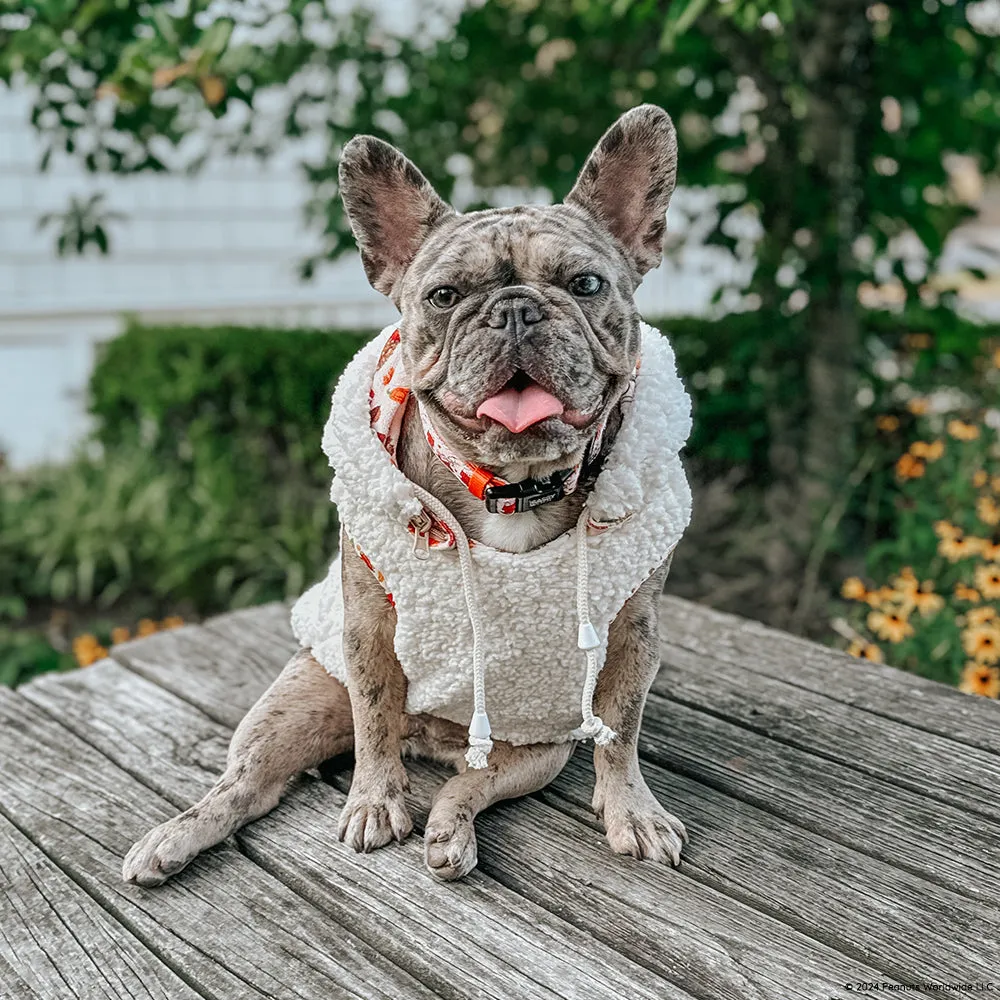 Dog Collar - Peanuts™ Harvest