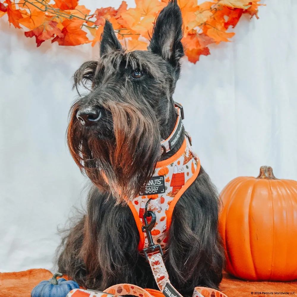 Dog Collar - Peanuts™ Harvest