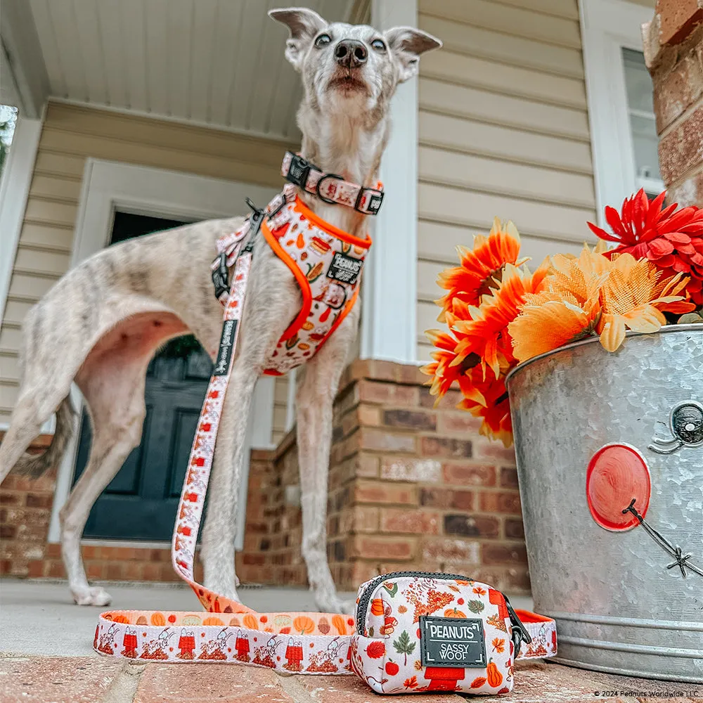 Dog Collar - Peanuts™ Harvest