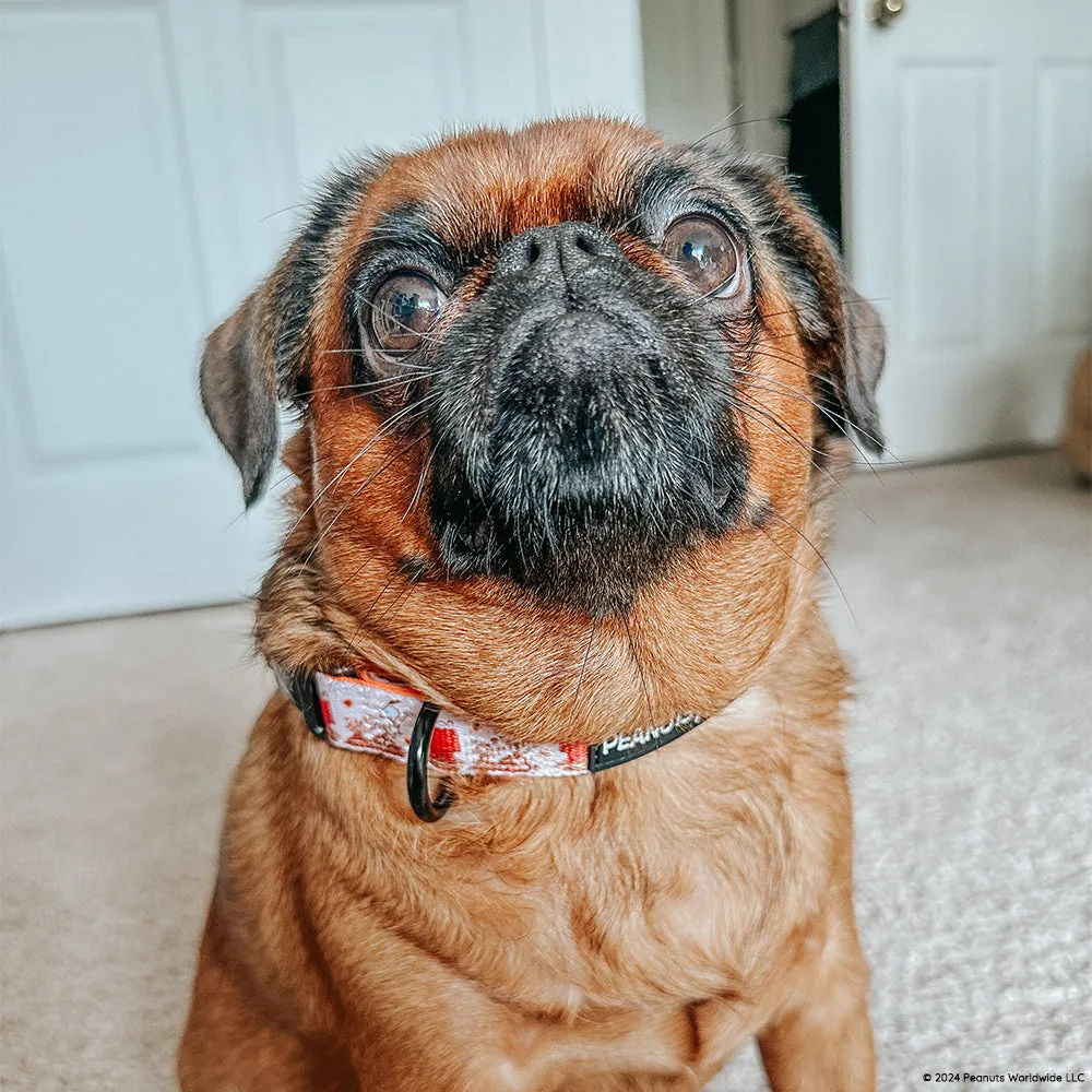 Dog Collar - Peanuts™ Harvest