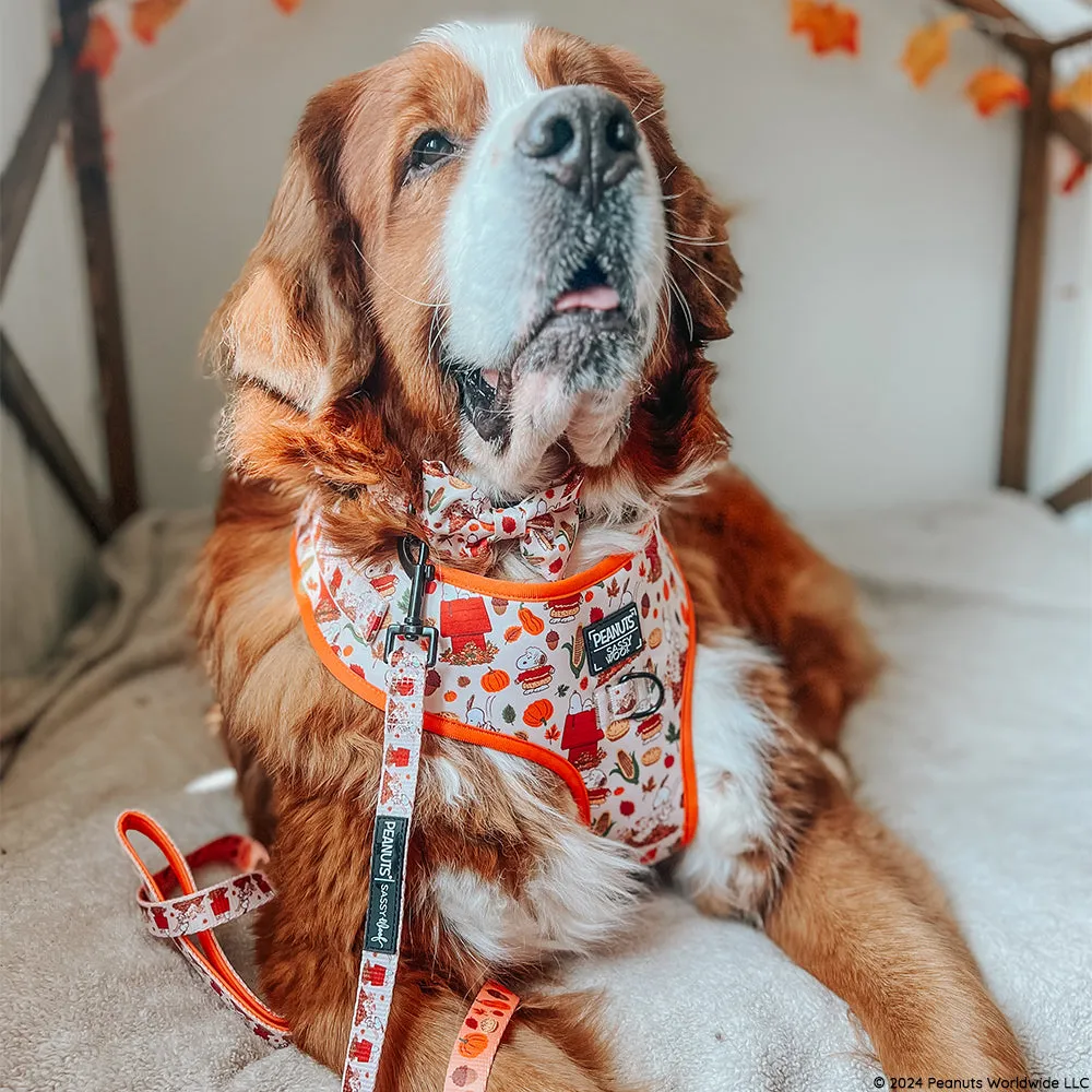 Dog Collar - Peanuts™ Harvest