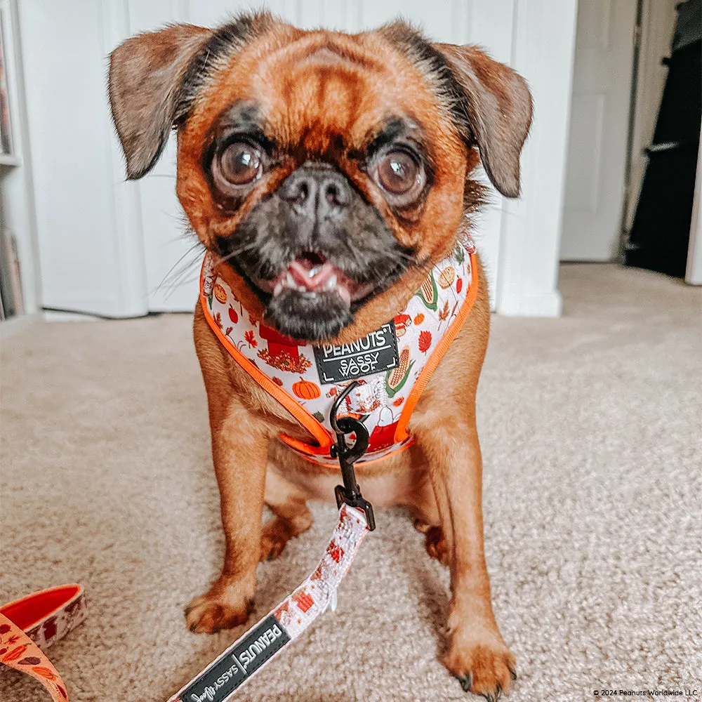 Dog Leash - Peanuts™ Harvest