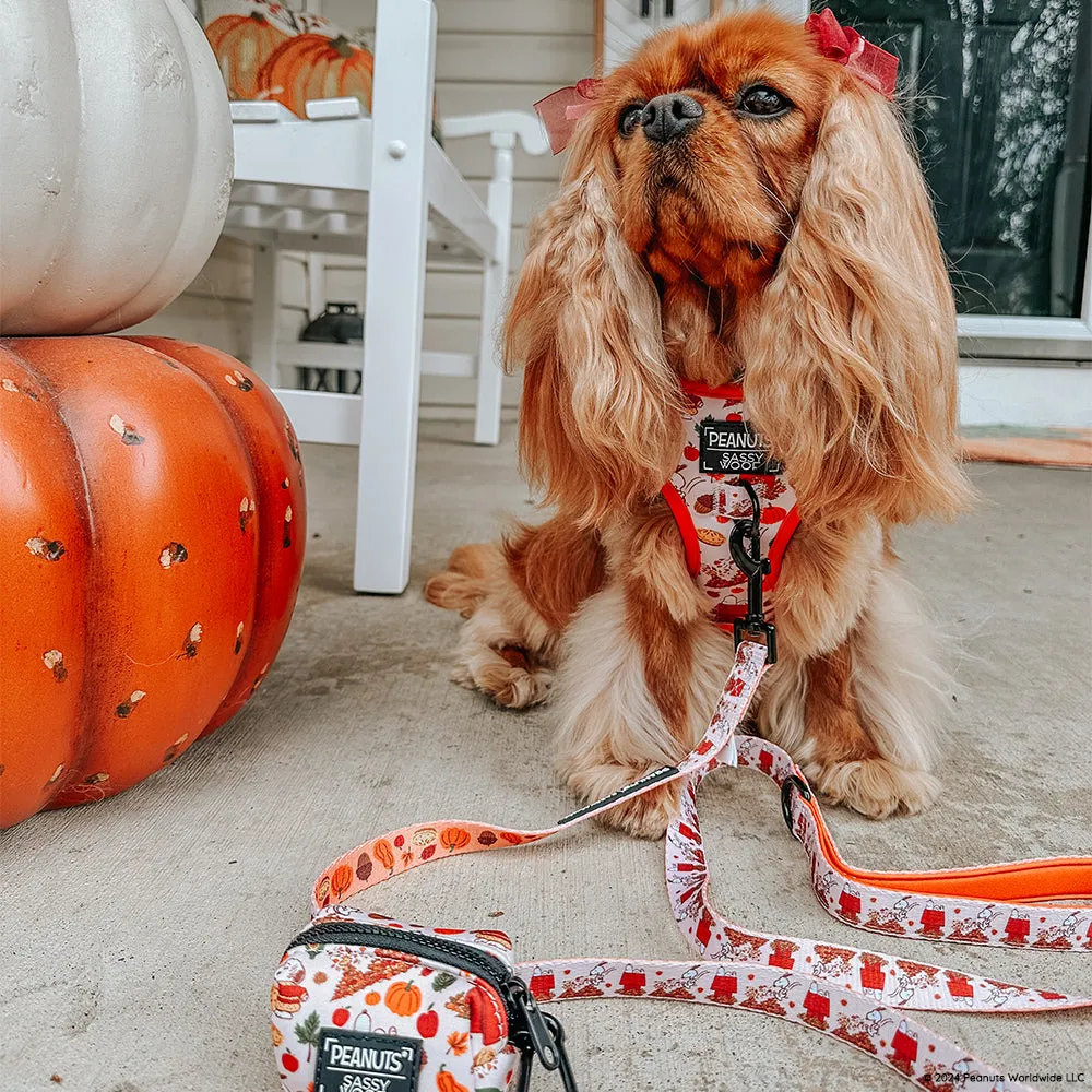 Dog Leash - Peanuts™ Harvest