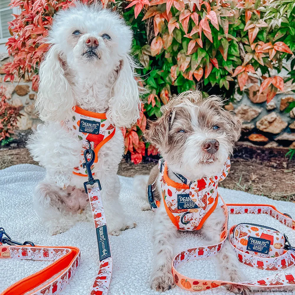 Dog Leash - Peanuts™ Harvest