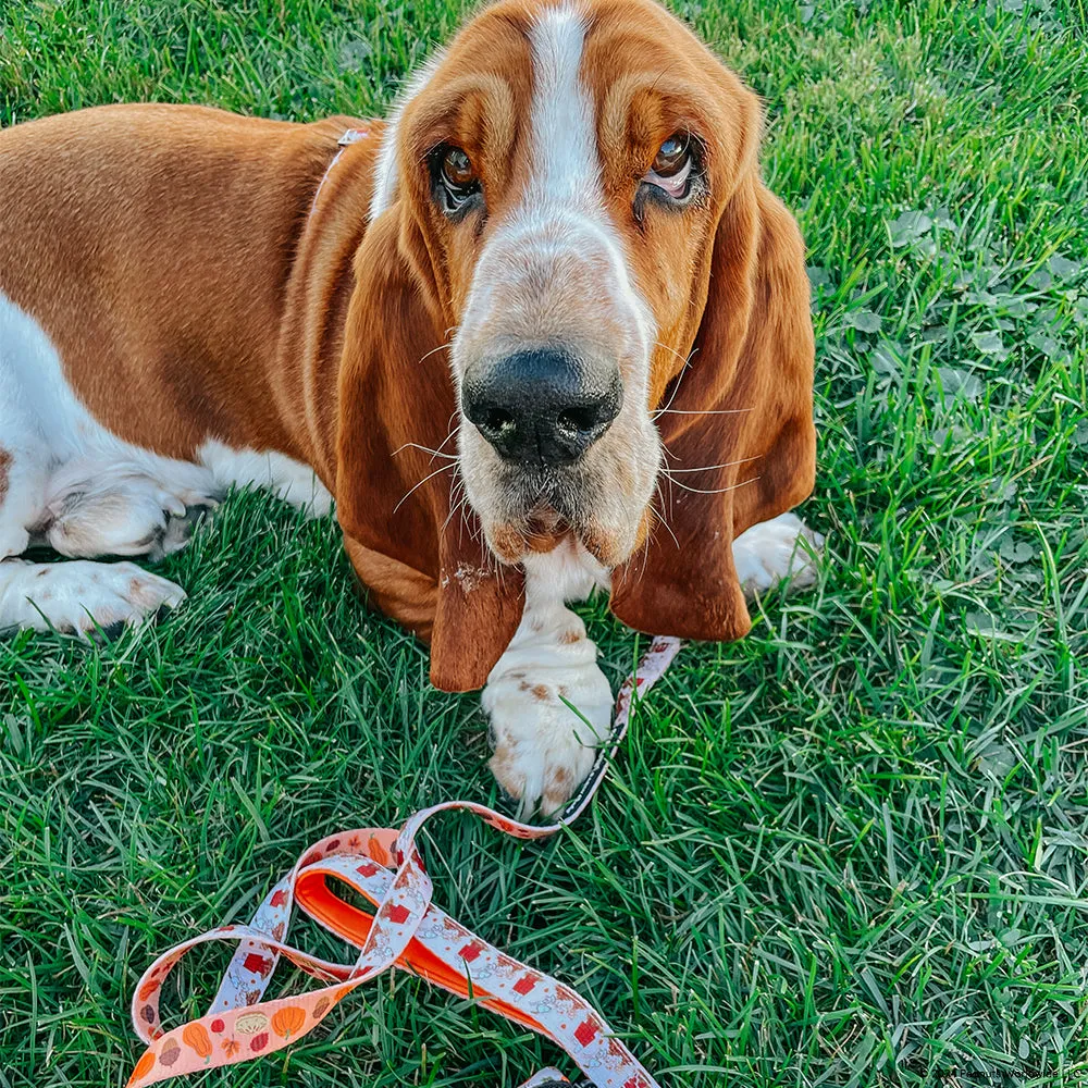 Dog Leash - Peanuts™ Harvest