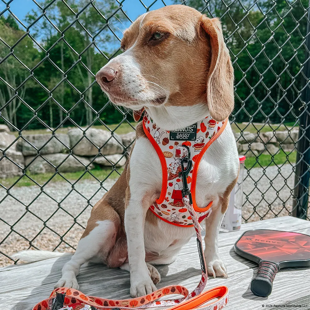 Dog Leash - Peanuts™ Harvest