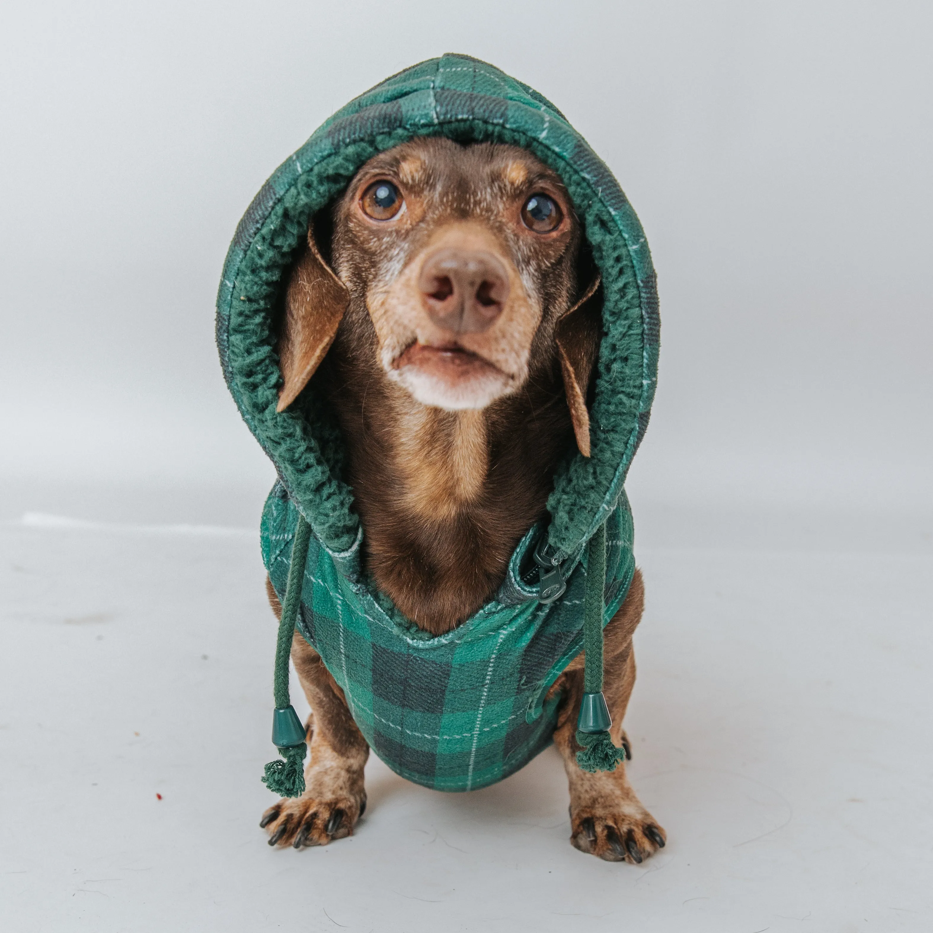 Dog Reversible Sherpa Jacket - Barks of Holly