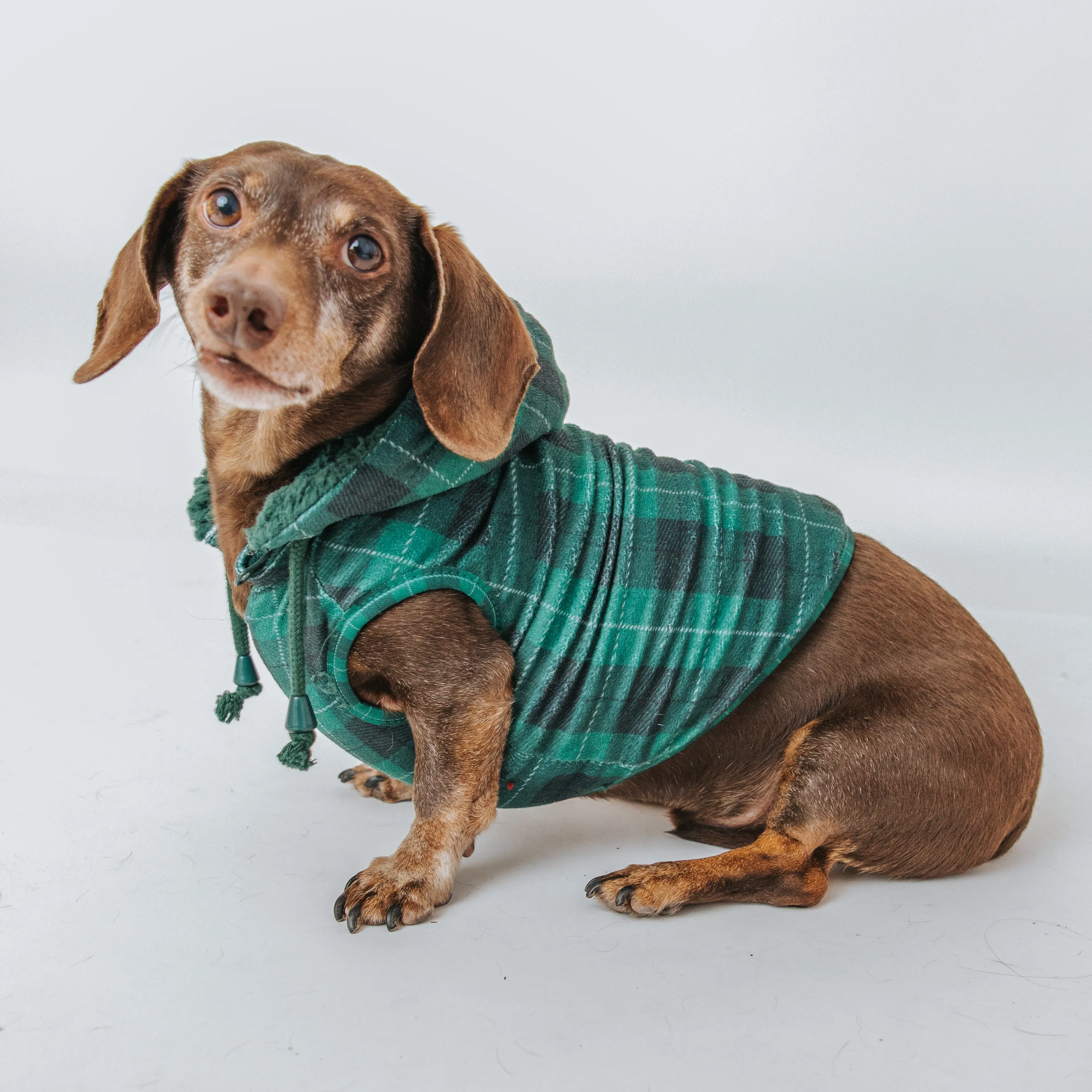 Dog Reversible Sherpa Jacket - Barks of Holly