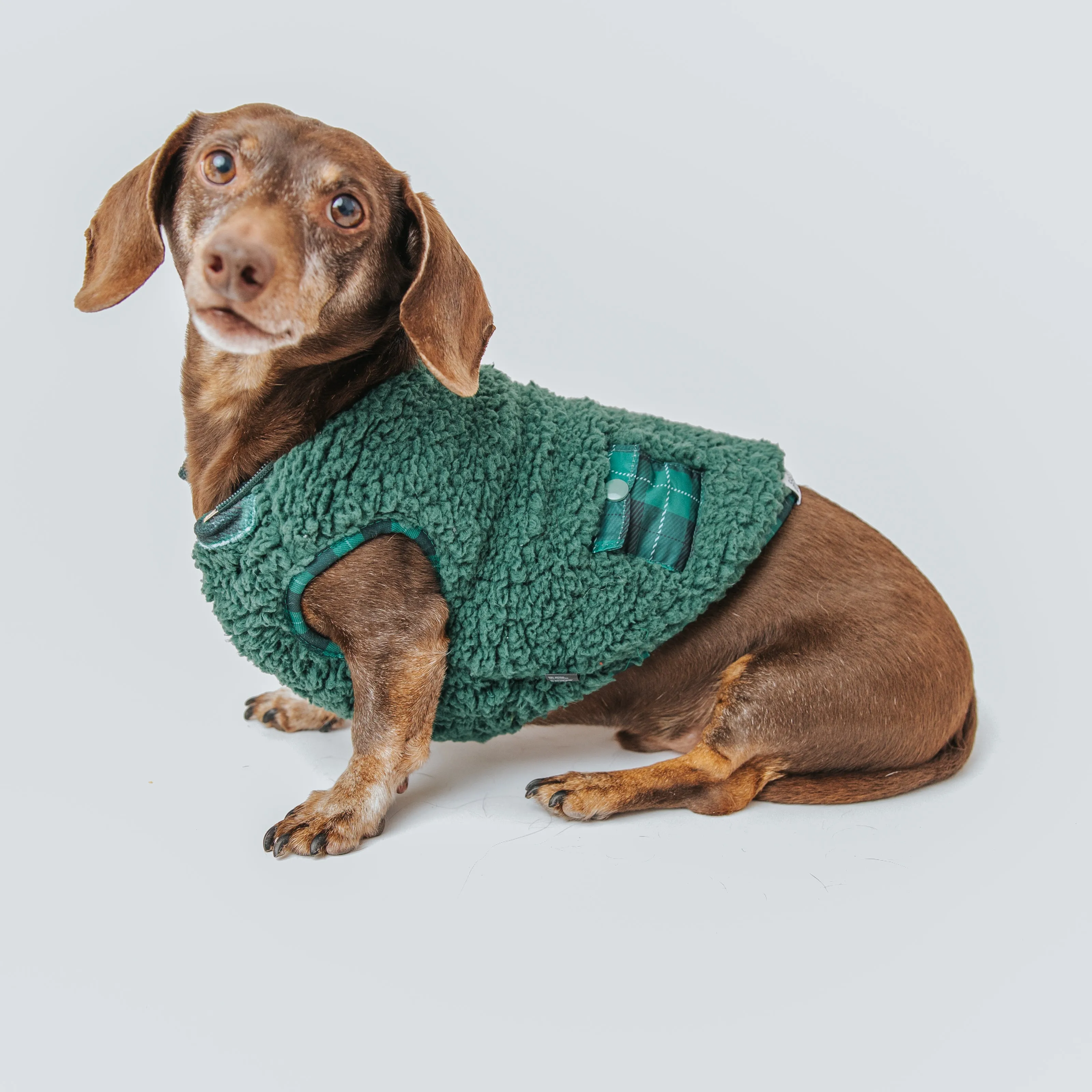 Dog Reversible Sherpa Jacket - Barks of Holly