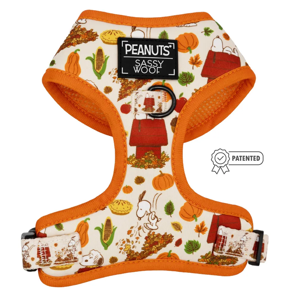 Dog Two Piece Bundle - Peanuts™ Harvest