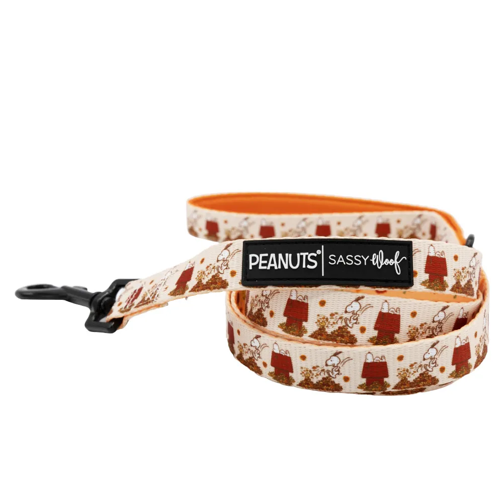 Dog Two Piece Bundle - Peanuts™ Harvest