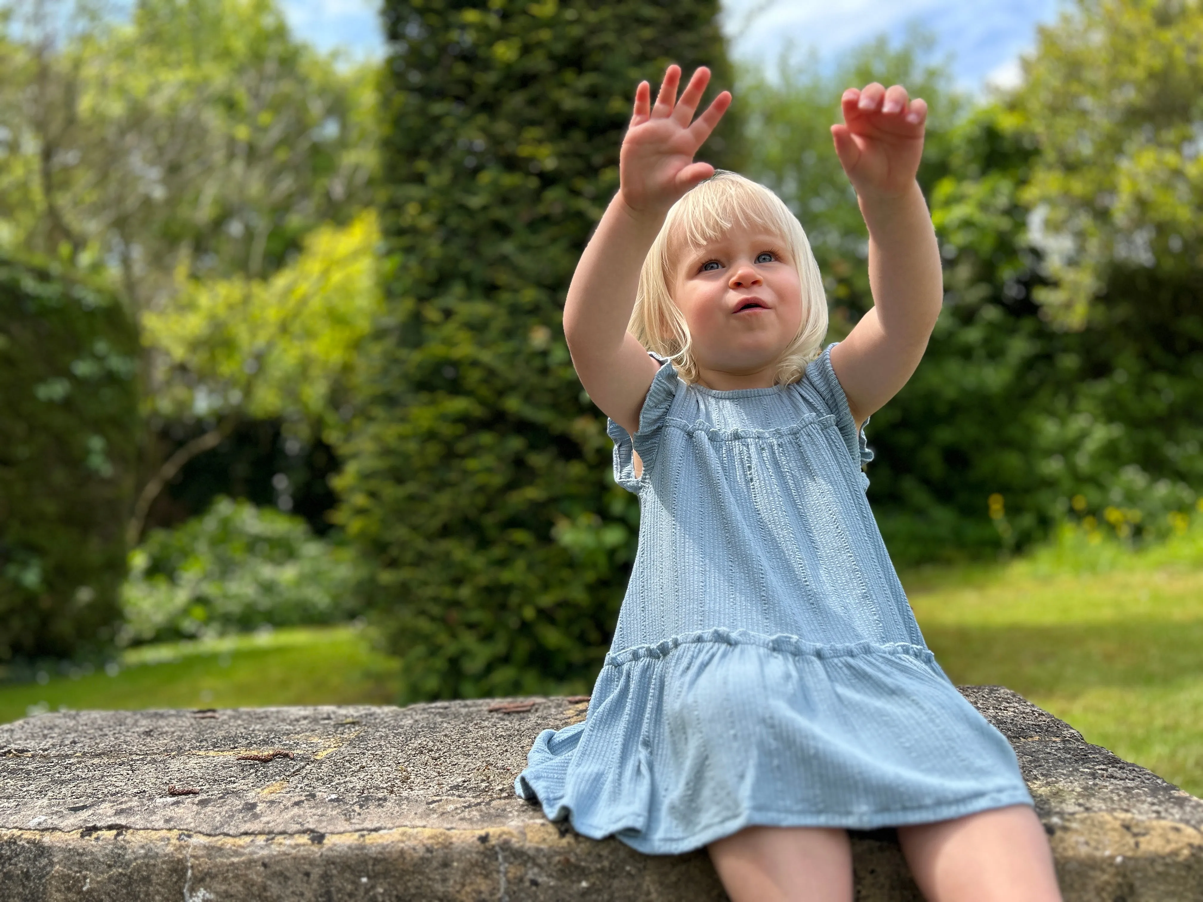 Gracie Dress in Blue