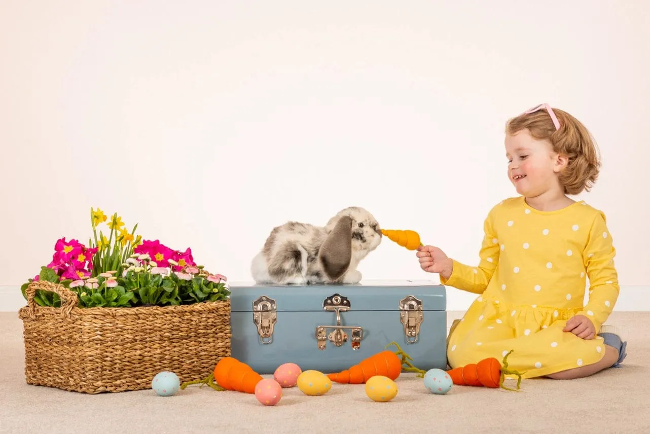 Grey and White Floppy Earred Bunny Large Teddy Herman