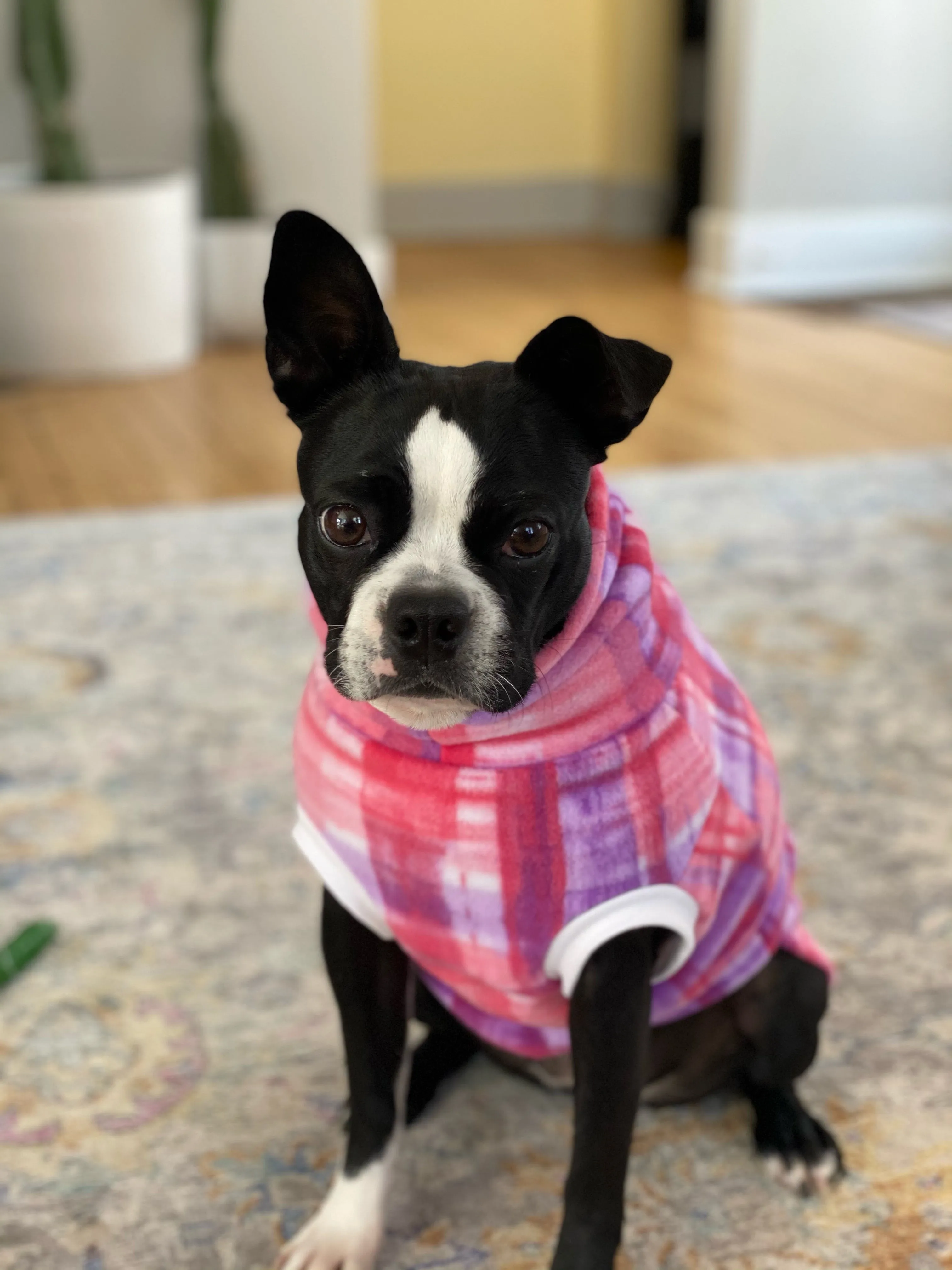 Pink Purple Watercolor Plaid Dog Sweater