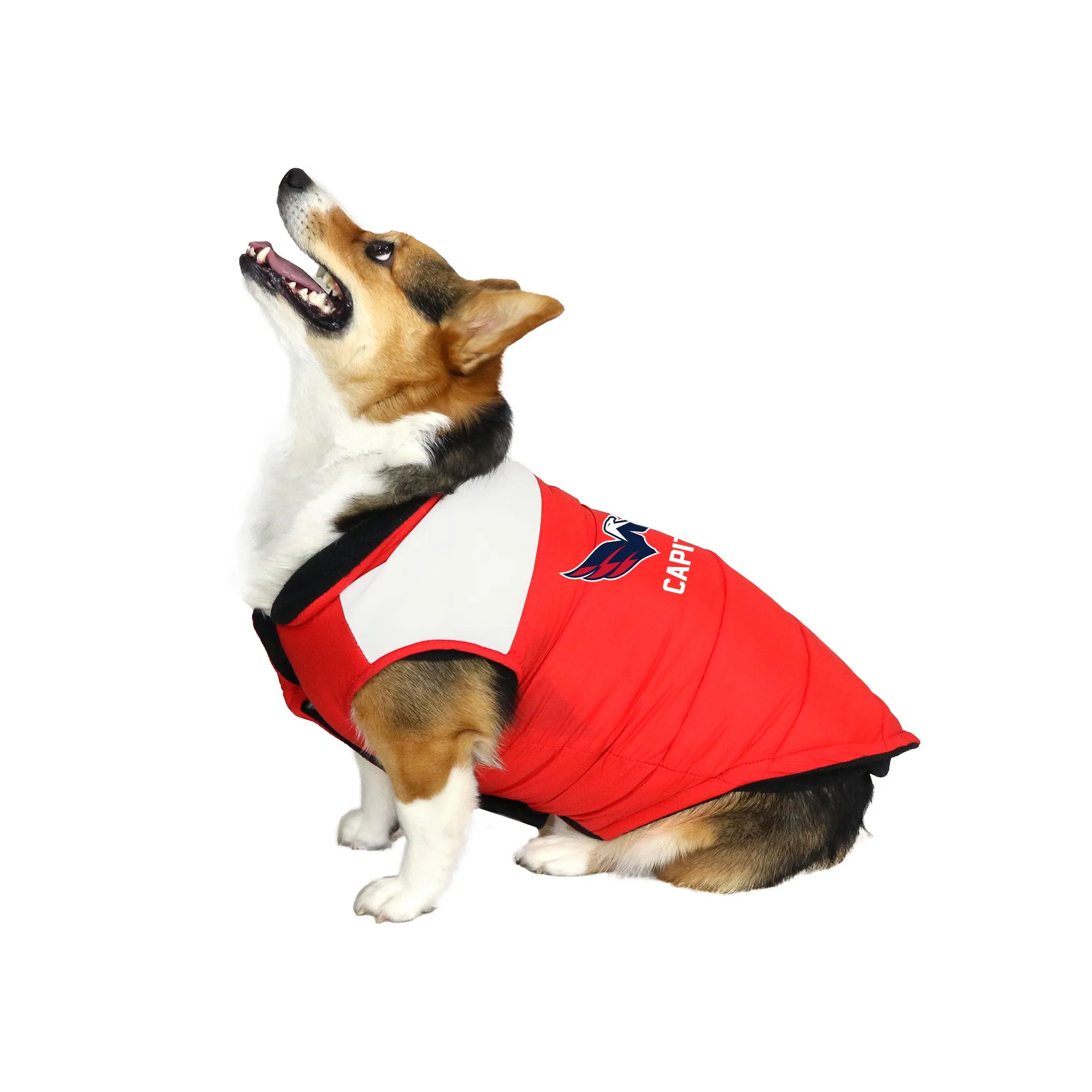 Washington Capitals Pet Parka Puff Vest