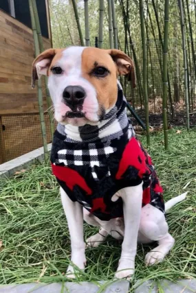 Wildlife & Buffalo Plaid Dog Sweater