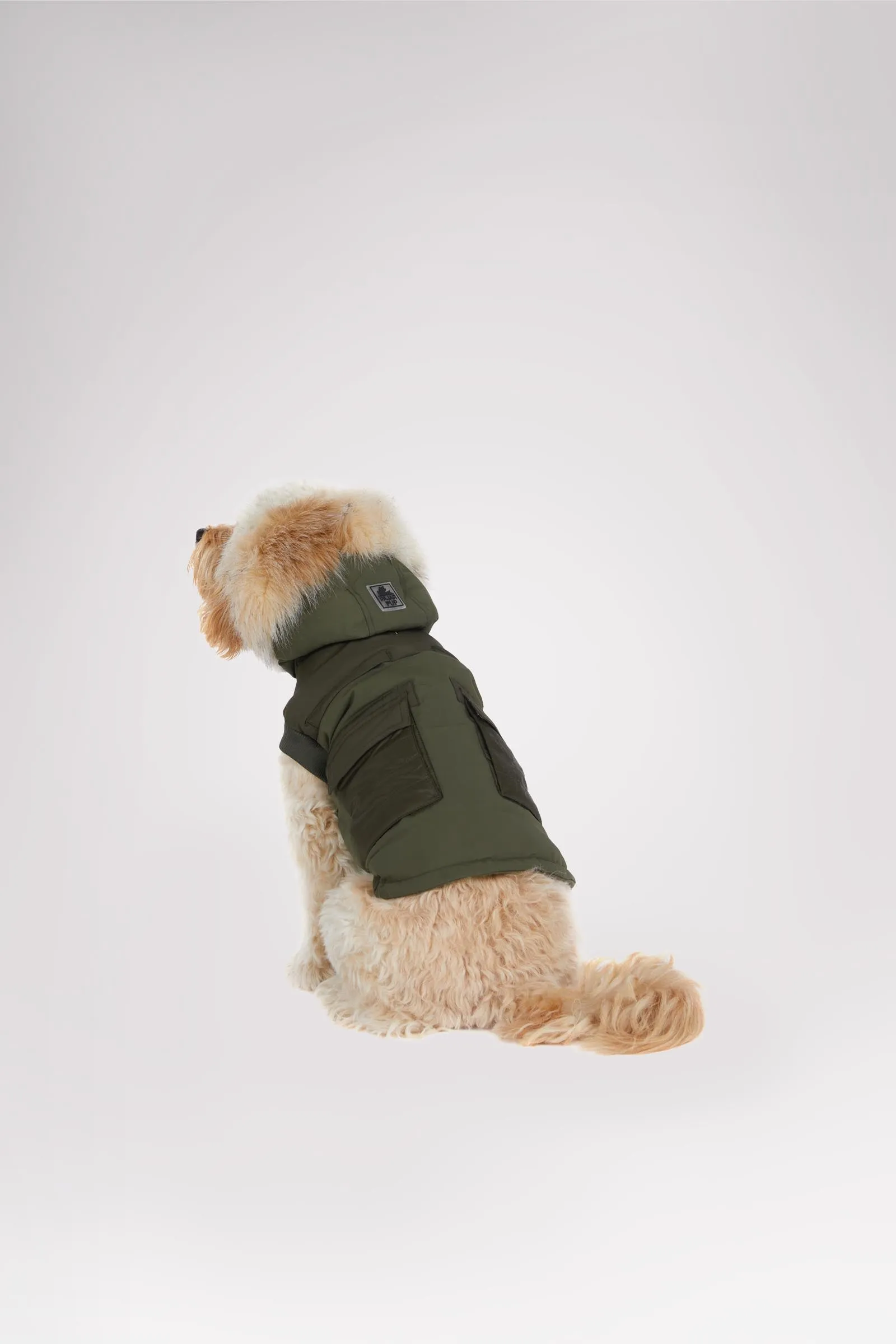 Zeus Jacket for Dogs w/Faux Fur Trim